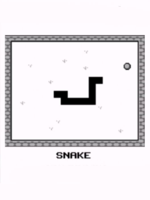 Snake