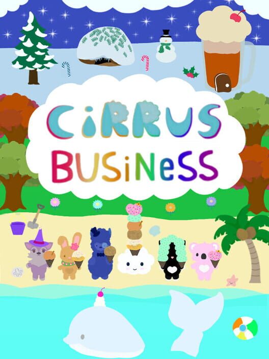 Cirrus Business