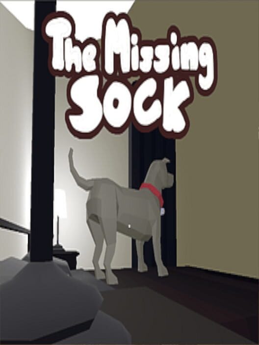 The Missing Sock