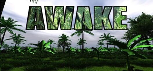 Awake