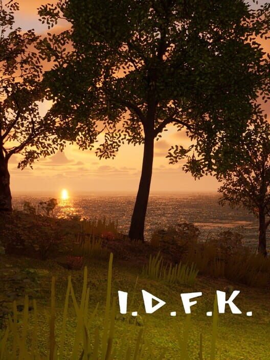 I.D.F.K.